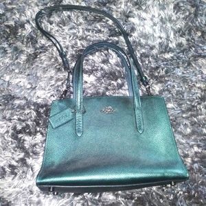 Chameleon Green Coach Bag